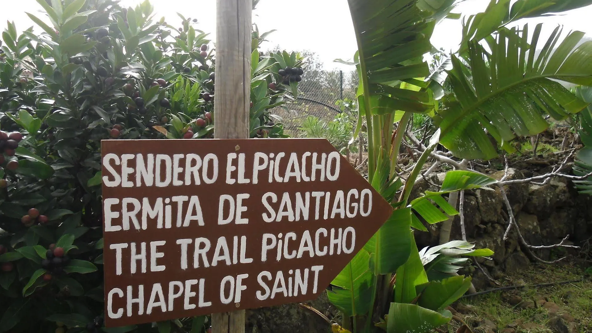 ***  Отель Finca El Picacho Valle de Guerra Испания